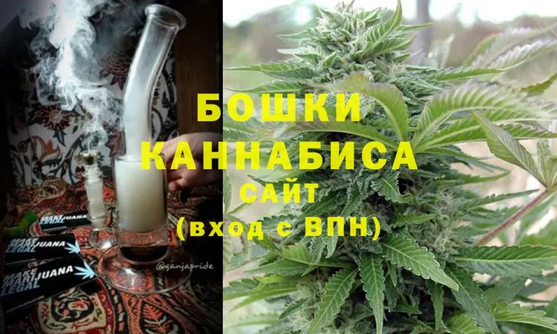 Бошки марихуана Bruce Banner  как найти закладки  Ковдор 